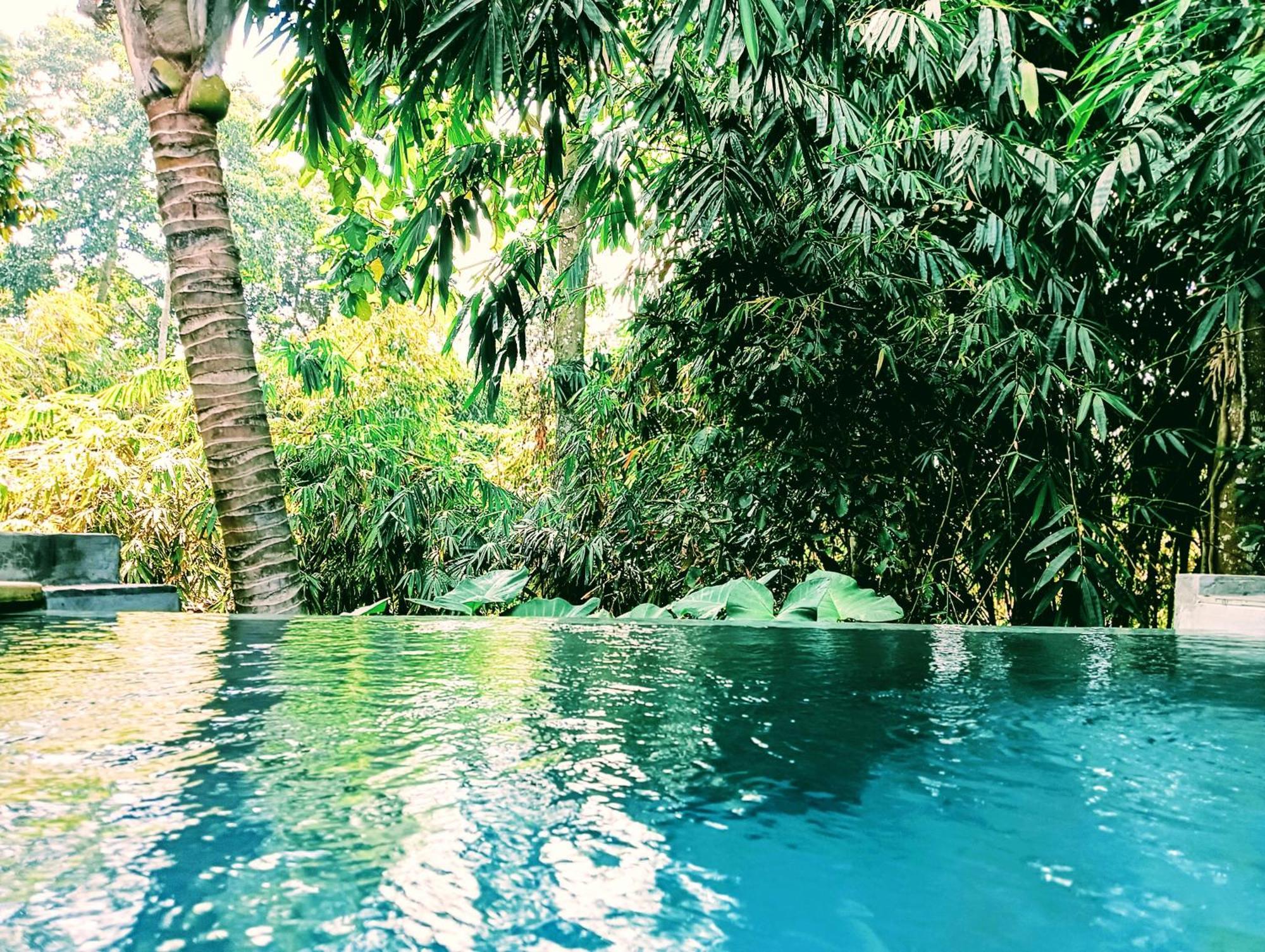 Hotel Ngesil Private Joglo & Pool à Ubud Extérieur photo